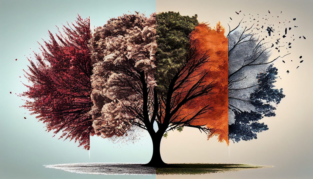 How Weather Affects Your Scalp: Winter Dryness vs Summer Humidity