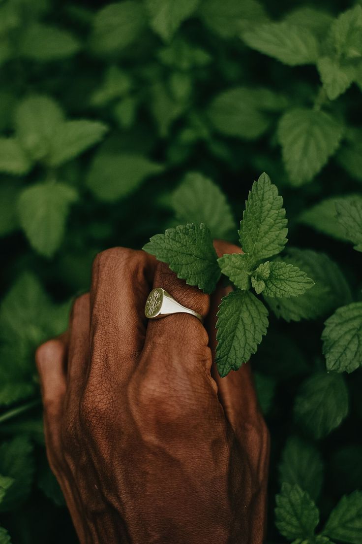 natural remedies for seborrheic dermatitis and dandruff